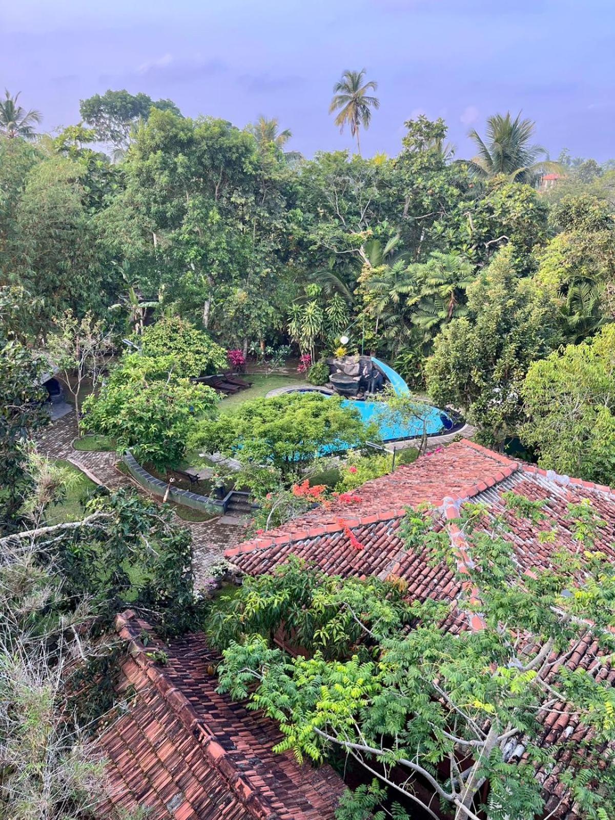 Villa 80 Bentota Exteriör bild